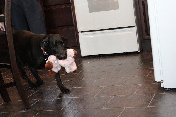 New Camera Dec2010 039